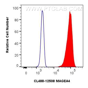 Flow cytometry (FC) experiment of A431 cells using CoraLite® Plus 488-conjugated MAGEA4 Polyclonal an (CL488-12508)