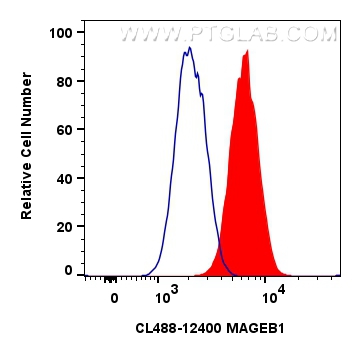 Flow cytometry (FC) experiment of HepG2 cells using CoraLite® Plus 488-conjugated MAGEB1 Polyclonal an (CL488-12400)