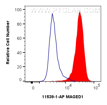 Flow cytometry (FC) experiment of HeLa cells using MAGED1 Polyclonal antibody (11539-1-AP)