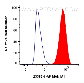 Flow cytometry (FC) experiment of HepG2 cells using MAN1A1 Polyclonal antibody (23382-1-AP)