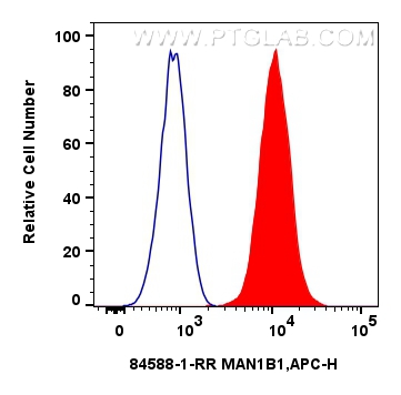 Flow cytometry (FC) experiment of U2OS cells using MAN1B1 Recombinant antibody (84588-1-RR)