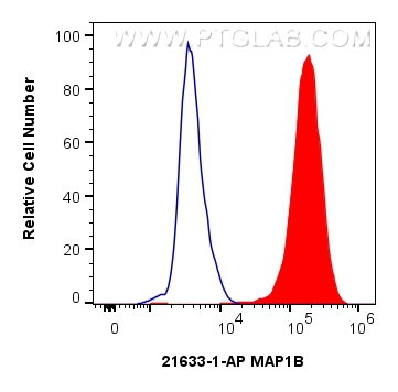 Flow cytometry (FC) experiment of SH-SY5Y cells using MAP1B Polyclonal antibody (21633-1-AP)