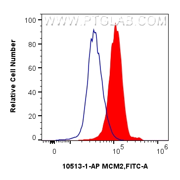 Flow cytometry (FC) experiment of HeLa cells using MCM2 Polyclonal antibody (10513-1-AP)