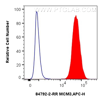 Flow cytometry (FC) experiment of K-562 cells using MCM3 Recombinant antibody (84792-2-RR)