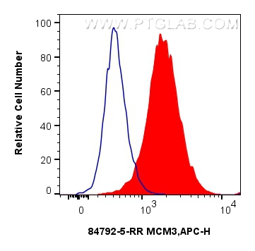 Flow cytometry (FC) experiment of HeLa cells using MCM3 Recombinant antibody (84792-5-RR)