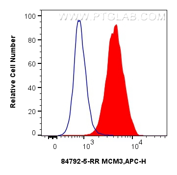 Flow cytometry (FC) experiment of K-562 cells using MCM3 Recombinant antibody (84792-5-RR)