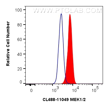 Flow cytometry (FC) experiment of HeLa cells using CoraLite® Plus 488-conjugated MEK1/2 Polyclonal an (CL488-11049)