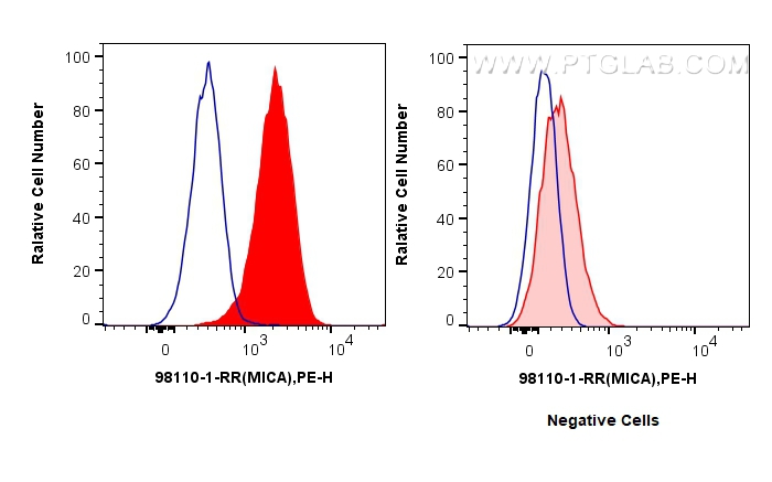 Flow cytometry (FC) experiment of HeLa cells using Anti-Human MICA/MICB Rabbit Recombinant Antibody (98110-1-RR)