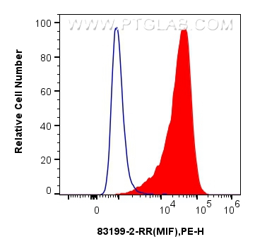 Flow cytometry (FC) experiment of RAW 264.7 cells using MIF Recombinant antibody (83199-2-RR)