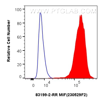 Flow cytometry (FC) experiment of NIH/3T3 cells using MIF Recombinant antibody (83199-2-RR)