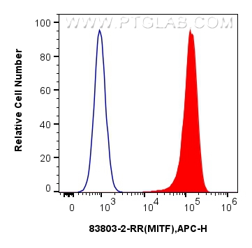 Flow cytometry (FC) experiment of HeLa cells using MITF Recombinant antibody (83803-2-RR)