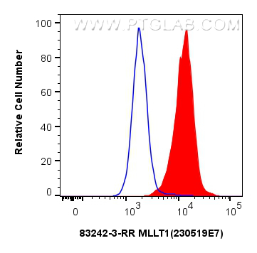 Flow cytometry (FC) experiment of HeLa cells using MLLT1 Recombinant antibody (83242-3-RR)