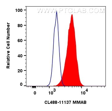 Flow cytometry (FC) experiment of HeLa cells using CoraLite® Plus 488-conjugated MMAB Polyclonal anti (CL488-11137)