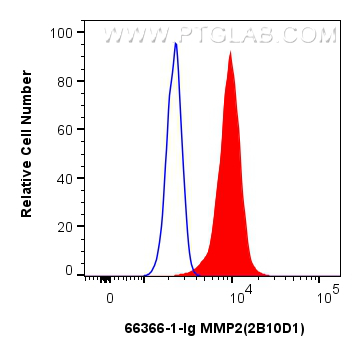 Flow cytometry (FC) experiment of HeLa cells using MMP2 Monoclonal antibody (66366-1-Ig)