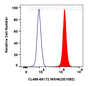 Flow cytometry (FC) experiment of HEK-293 cells using CoraLite®488-conjugated MSH6 Monoclonal antibody (CL488-66172)