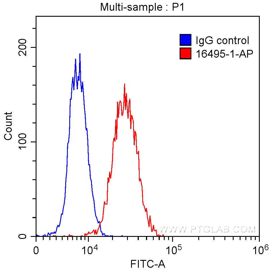 Flow cytometry (FC) experiment of HepG2 cells using Moesin Polyclonal antibody (16495-1-AP)