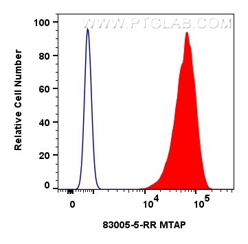 Flow cytometry (FC) experiment of HeLa cells using MTAP Recombinant antibody (83005-5-RR)