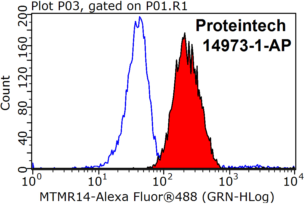 Flow cytometry (FC) experiment of HeLa cells using MTMR14 Polyclonal antibody (14973-1-AP)