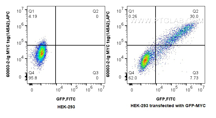 Flow cytometry (FC) experiment of HEK-293  transfected with GFP-MYC using MYC tag Monoclonal antibody (60003-2-Ig)