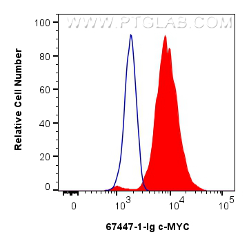 Flow cytometry (FC) experiment of NCCIT cells using c-MYC Monoclonal antibody (67447-1-Ig)