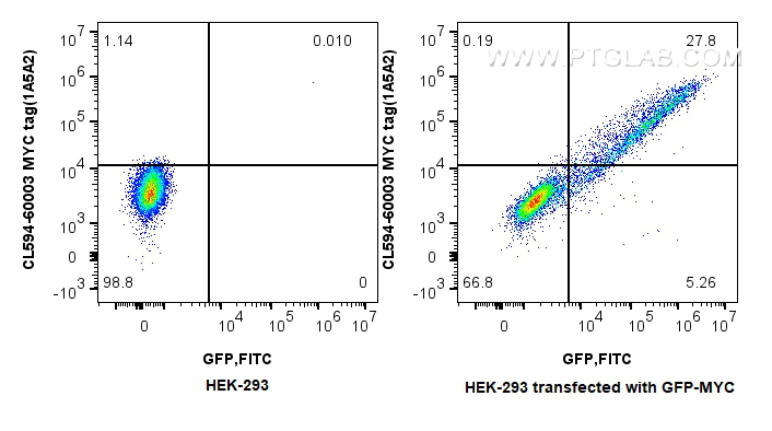 Flow cytometry (FC) experiment of HEK-293  transfected with GFP-MYC using CoraLite®594-conjugated MYC tag Monoclonal antibod (CL594-60003)