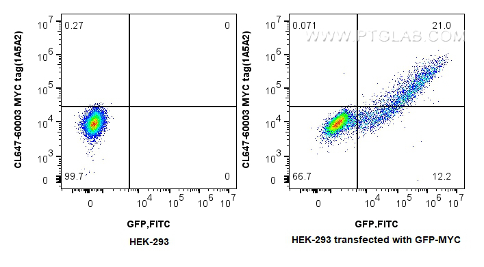 Flow cytometry (FC) experiment of HEK-293  transfected with GFP-MYC using CoraLite® Plus 647-conjugated MYC tag Monoclonal a (CL647-60003)