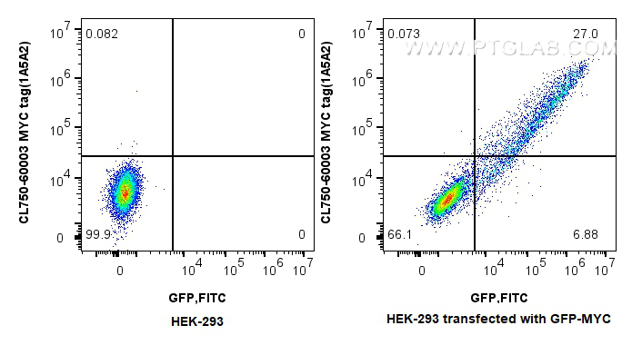 Flow cytometry (FC) experiment of HEK-293  transfected with GFP-MYC using CoraLite® Plus 750-conjugated MYC tag Monoclonal a (CL750-60003)