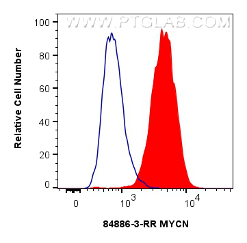 Flow cytometry (FC) experiment of SH-SY5Y cells using MYCN Recombinant antibody (84886-3-RR)