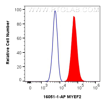 Flow cytometry (FC) experiment of C6 cells using MYEF2 Polyclonal antibody (16051-1-AP)