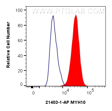 Flow cytometry (FC) experiment of HepG2 cells using MYH10 Polyclonal antibody (21403-1-AP)