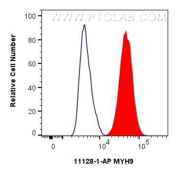 Flow cytometry (FC) experiment of HepG2 cells using MYH9 Polyclonal antibody (11128-1-AP)