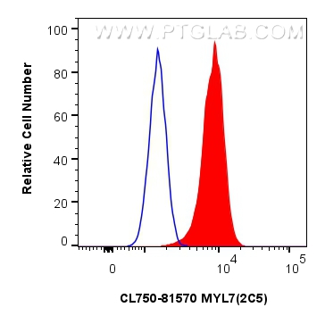 Flow cytometry (FC) experiment of C2C12 cells using CoraLite® Plus 750-conjugated MYL7 Recombinant ant (CL750-81570)