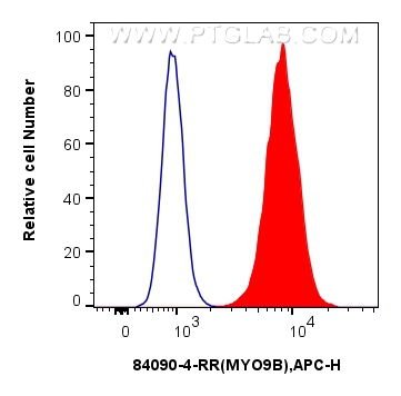 Flow cytometry (FC) experiment of A431 cells using MYO9B Recombinant antibody (84090-4-RR)