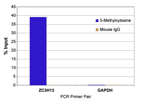 MeDIP real time PCR results with ZC3H13 and GAPDH primer sets