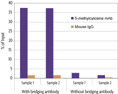 Bridging antibody effects with MeDIP Kit