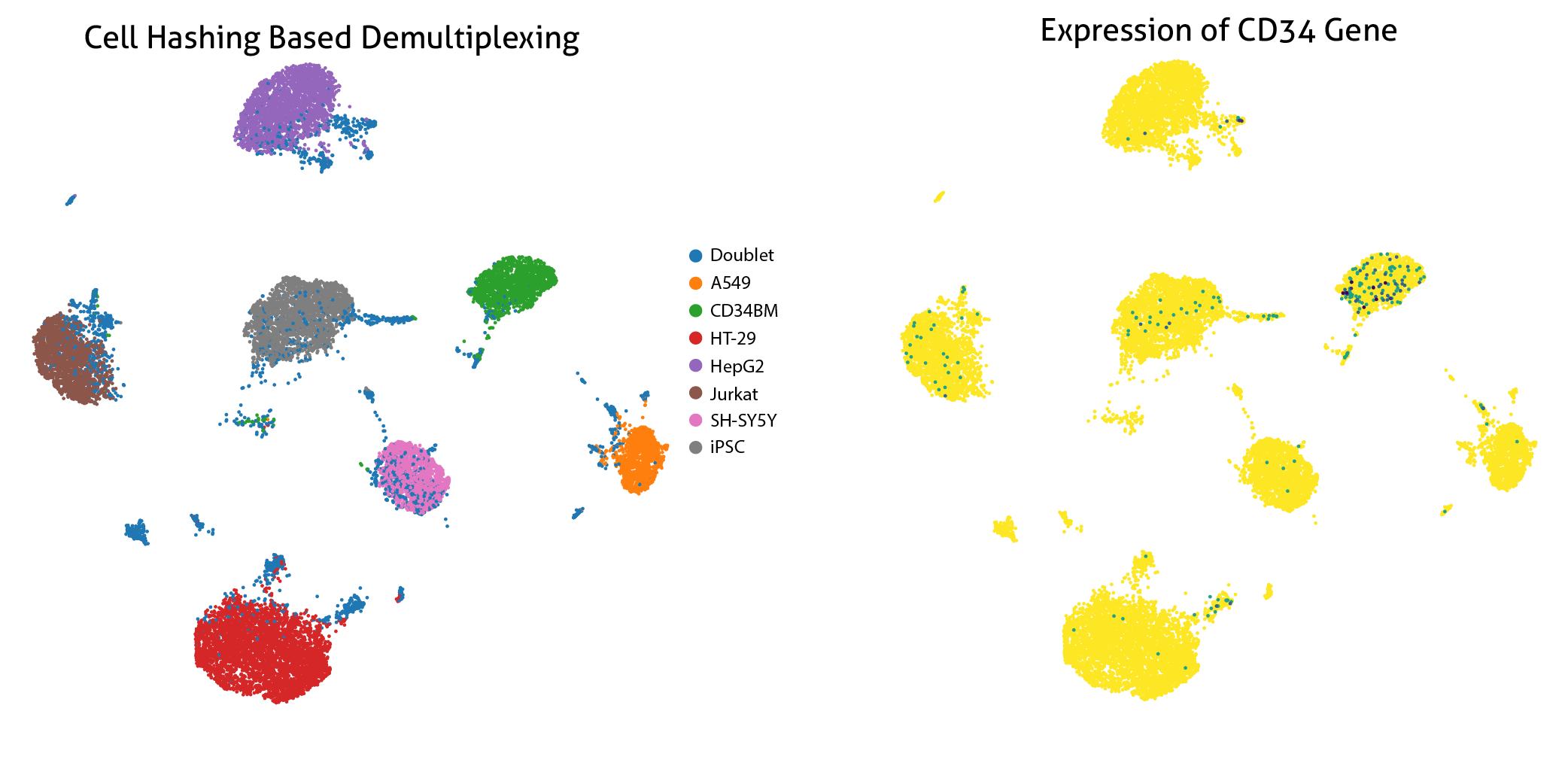 Left Panel: Cells from various cells were stained with MultiPro® HashMax™-5 antibodies and processed through the 10x Genomics 5' Gene Expression workflow. Image shows successful antibody based demultiplexing. CD34+ bone marrow cells were included in this analysis. 
Right Panel: Expression of CD34 gene, demonstrating successful staining of progenitor cells. 