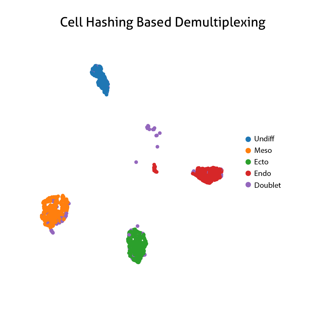 Differentiated iPSCs stained with MultiPro® HashMax™-5 antibodies and processed through the 10x Genomics Flex workflow. 