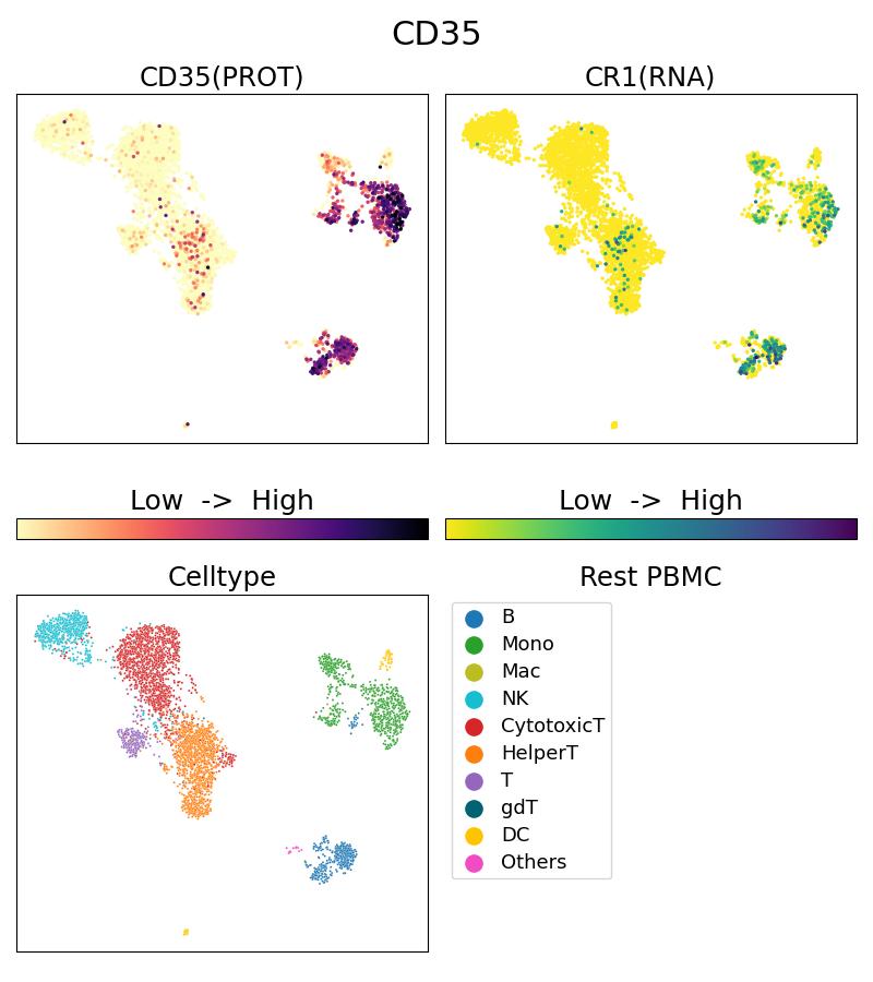 Single Cell Sequencing experiment G65254-1-5C on Resting PBMC