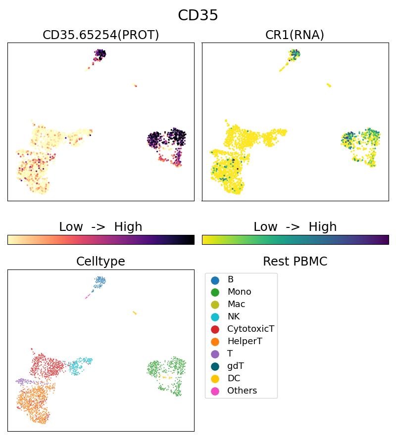 Single Cell Sequencing experiment G65254-1-5C on Resting PBMC