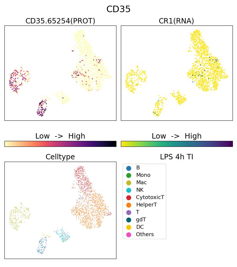 Single Cell Sequencing experiment G65254-1-5C on PBMC treated with 4hr LPS + TI