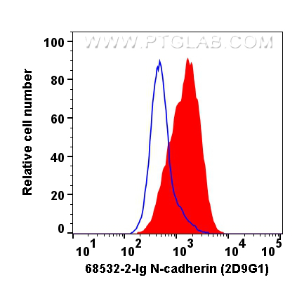 Flow cytometry (FC) experiment of HepG2 cells using N-cadherin Monoclonal antibody (68532-2-Ig)