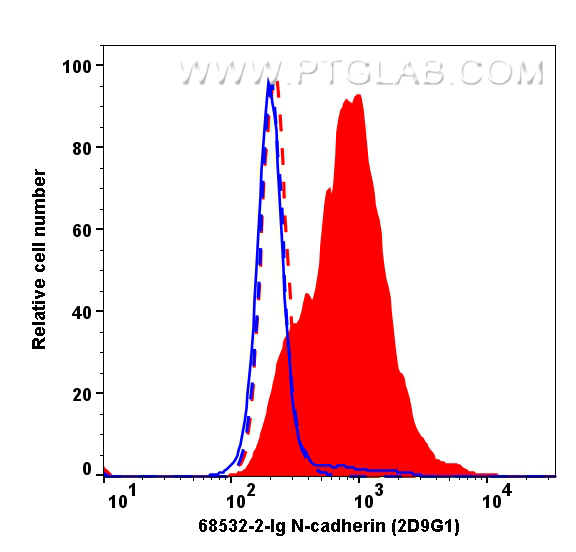 Flow cytometry (FC) experiment of SH-SY5Y cells using N-cadherin Monoclonal antibody (68532-2-Ig)