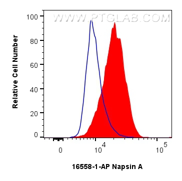 Flow cytometry (FC) experiment of A549 cells using Napsin A Polyclonal antibody (16558-1-AP)