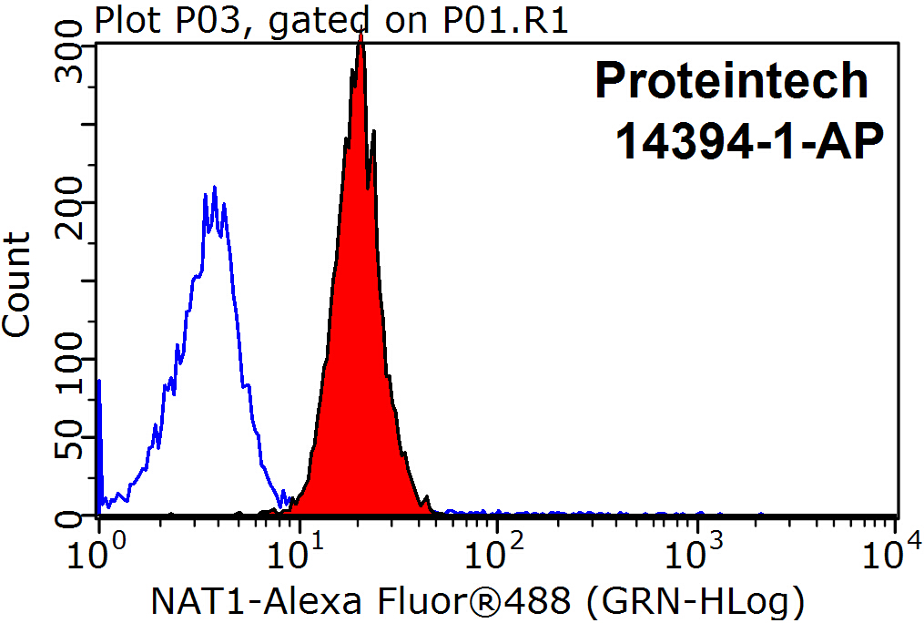 Flow cytometry (FC) experiment of MCF-7 cells using NAT1 Polyclonal antibody (14394-1-AP)