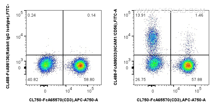 Flow cytometry (FC) experiment of human PBMCs using FcZero-rAb™ CoraLite® Plus 488 Anti-Human NCAM1/CD (CL488-FcA98033)
