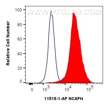 Flow cytometry (FC) experiment of HEK-293 cells using NCAPH Polyclonal antibody (11515-1-AP)