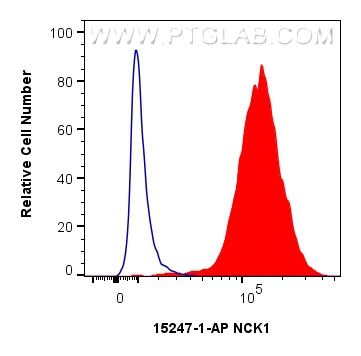 Flow cytometry (FC) experiment of HeLa cells using NCK1 Polyclonal antibody (15247-1-AP)