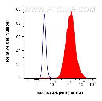 Flow cytometry (FC) experiment of HEK-293 cells using Nucleolin/C23 Recombinant antibody (83380-1-RR)