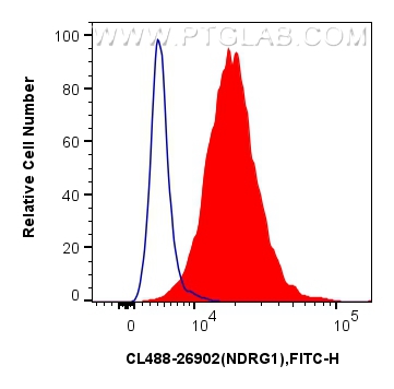 Flow cytometry (FC) experiment of HeLa cells using CoraLite® Plus 488-conjugated NDRG1 Polyclonal ant (CL488-26902)