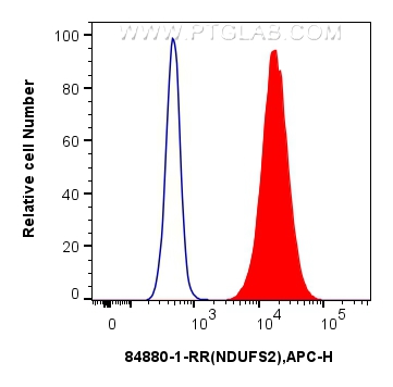 Flow cytometry (FC) experiment of HepG2 cells using NDUFS2 Recombinant antibody (84880-1-RR)